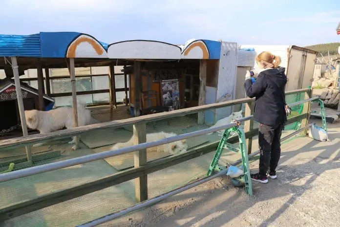 東北三縣「鮮」氣之旅 青森．岩手篇 (二)