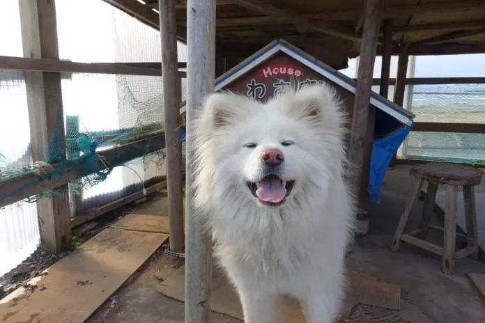 東北三縣「鮮」氣之旅 青森．岩手篇 (二)