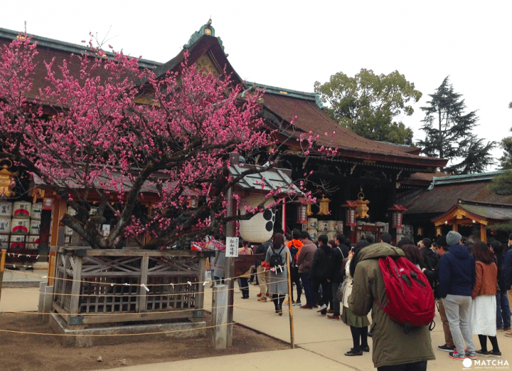 【京都】初春赏梅散策,三大赏花名所推荐