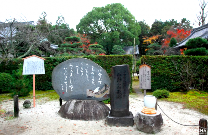 【京都】初春赏梅散策,三大赏花名所推荐