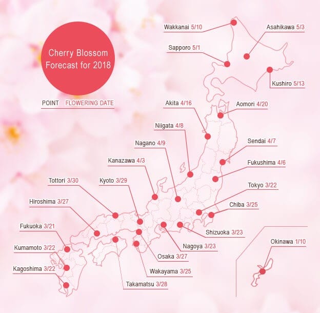 Japan's Cherry Blossoms In 2018 - Forecast And Best Spots!