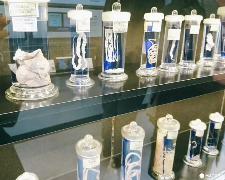 带另类的他去逛逛！文青最爱目黑区的B级景点