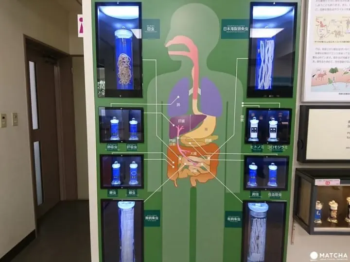 带另类的他去逛逛！文青最爱目黑区的B级景点