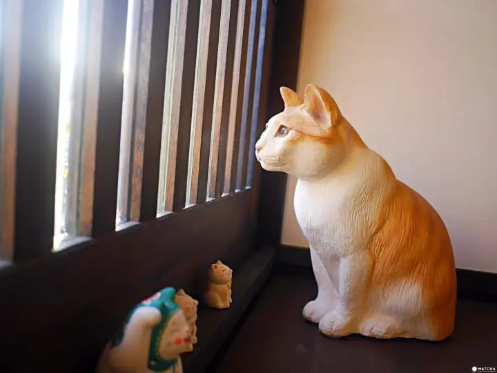 咖啡貓衛門貓咪