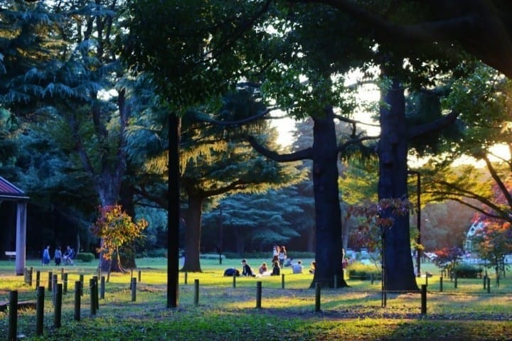 15 Cherry Blossom Spots In Tokyo That You Just Have To See!