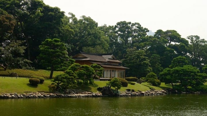 15 Cherry Blossom Spots In Tokyo That You Just Have To See!