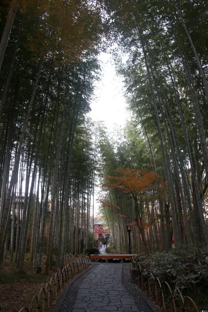 【靜岡】伊豆溫泉鄉 千年歷史修善寺溫泉之旅