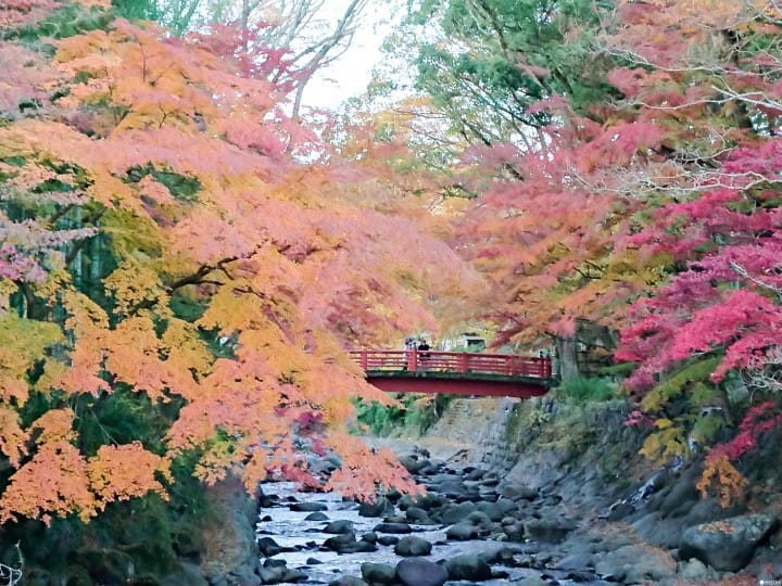 【靜岡】伊豆溫泉鄉 千年歷史修善寺溫泉之旅