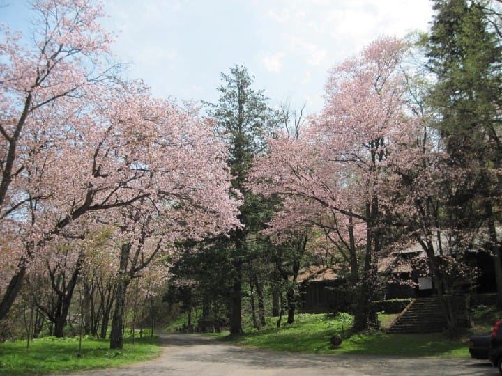 Asahikawa Park