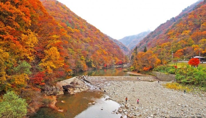 东北JR PASS