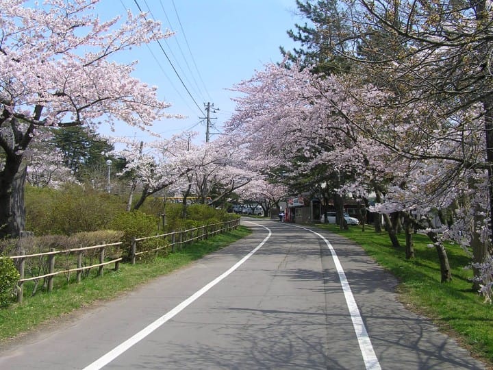 能代公園