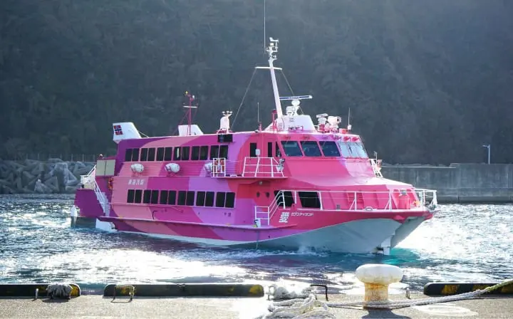 Izu Oshima - Tokyo's Beautiful Island Of Camellias