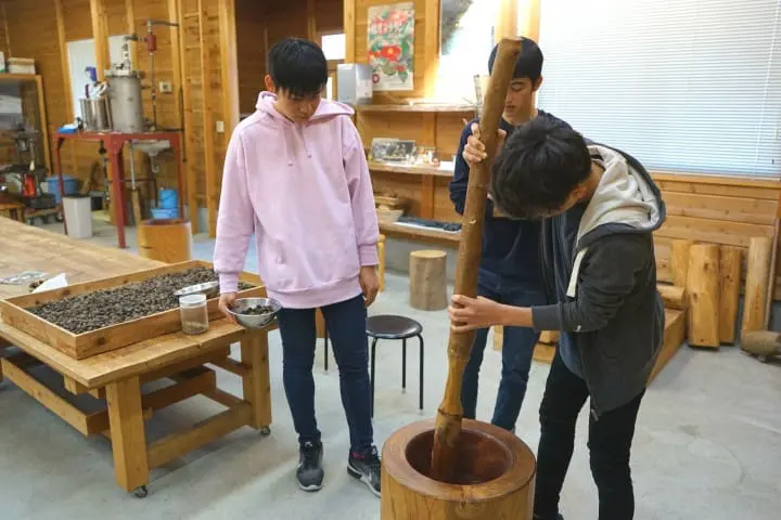 Izu Oshima - Tokyo's Beautiful Island Of Camellias