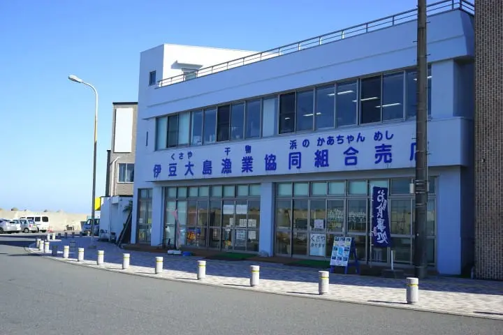 Izu Oshima - Tokyo's Beautiful Island Of Camellias