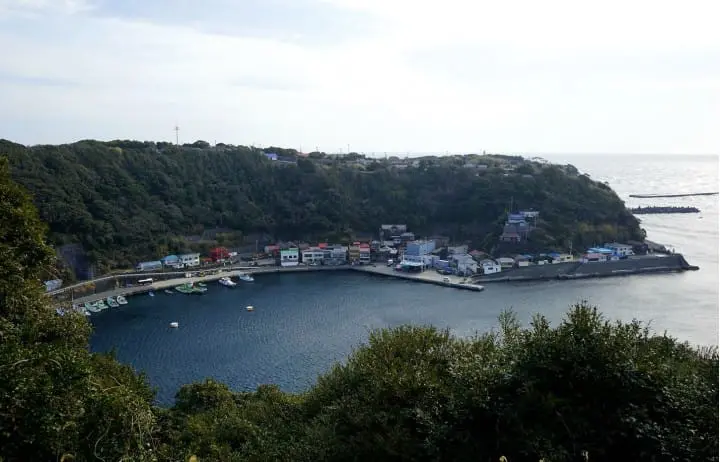 Izu Oshima - Tokyo's Beautiful Island Of Camellias