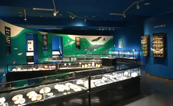 Izu Oshima - Tokyo's Beautiful Island Of Camellias