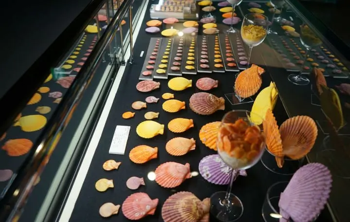 Izu Oshima - Tokyo's Beautiful Island Of Camellias