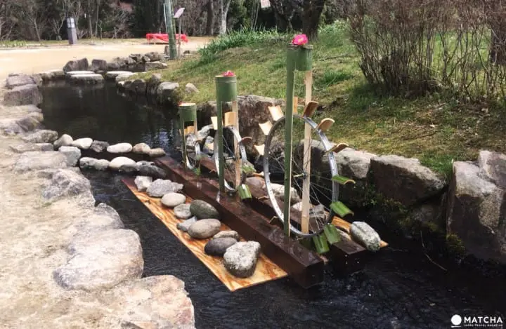 ให้โลกของเรารายล้อมไปด้วยสีชมพู กับเทศกาลดอกบ๊วย Ume Matsuri ที่สวน Expo 70 เมืองโอซาก้า