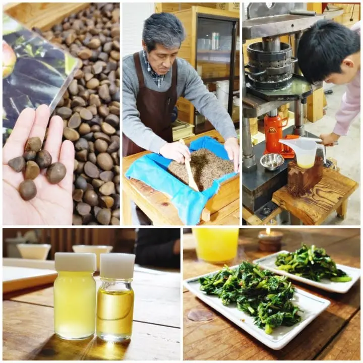 ชวนไปติดเกาะที่โตเกียว! 2 วัน 1 คืน