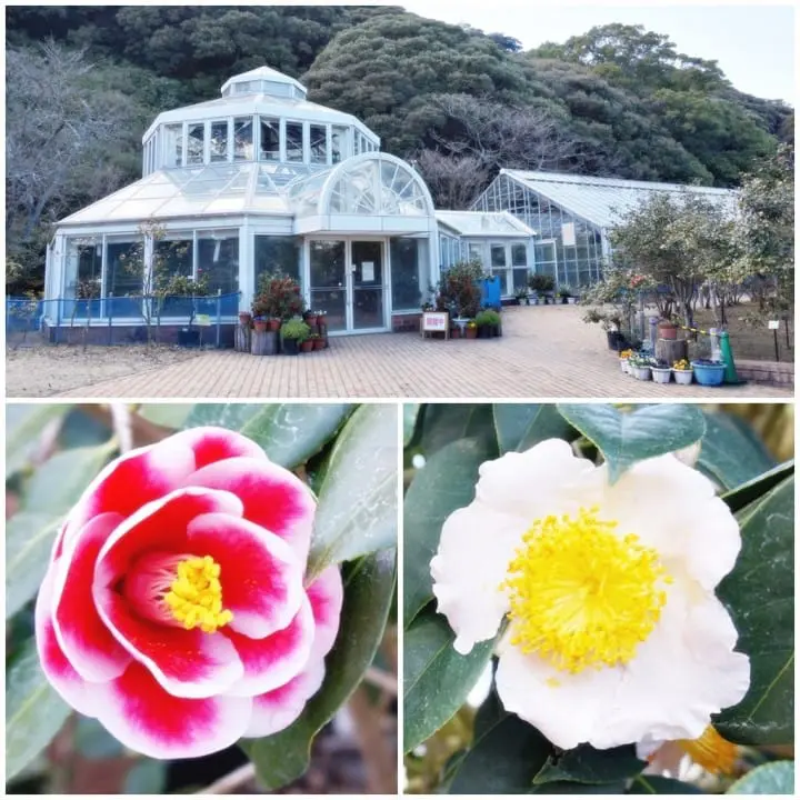 ชวนไปติดเกาะที่โตเกียว! 2 วัน 1 คืน