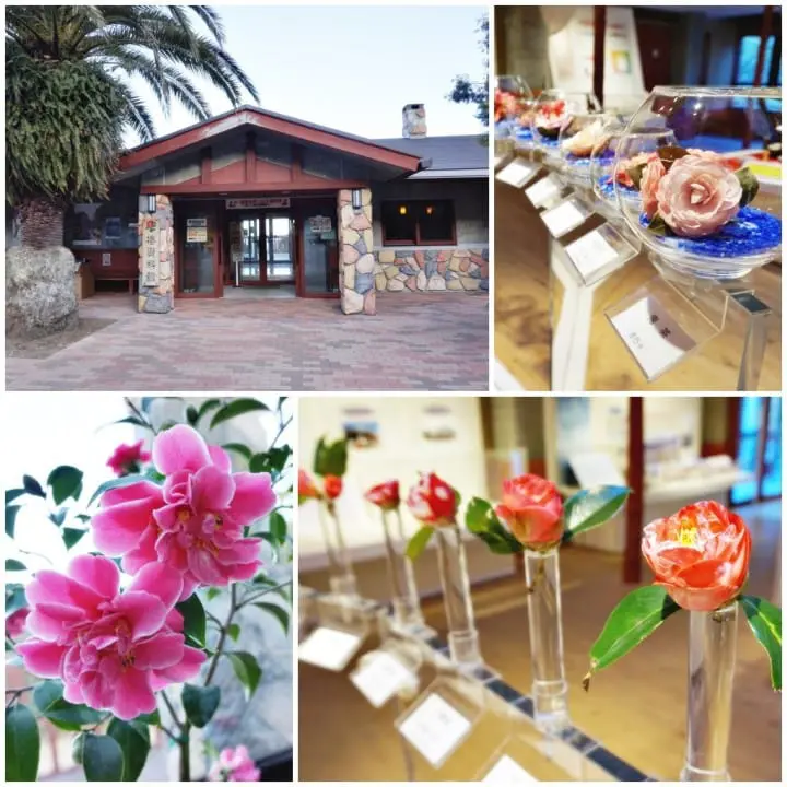 ชวนไปติดเกาะที่โตเกียว! 2 วัน 1 คืน