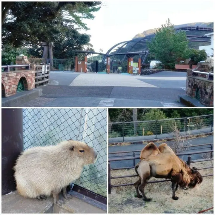 ชวนไปติดเกาะที่โตเกียว! 2 วัน 1 คืน