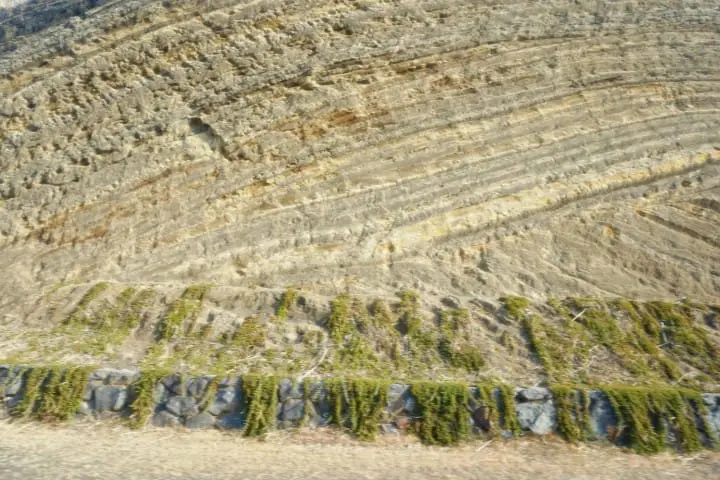 ชวนไปติดเกาะที่โตเกียว! 2 วัน 1 คืน