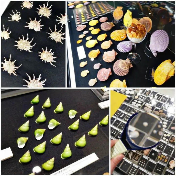 ชวนไปติดเกาะที่โตเกียว! 2 วัน 1 คืน