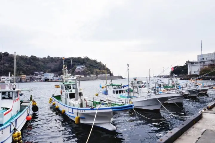 ชวนไปติดเกาะที่โตเกียว! 2 วัน 1 คืน