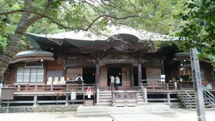 【東京近郊】消災除惡祈願必備「深大寺達摩市集」