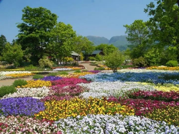 10 Best spots to view spring flowers around Japan 