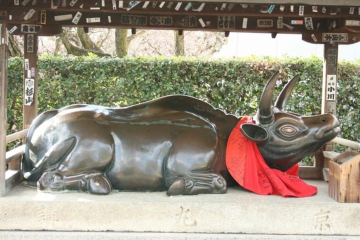 Sacred Animals In Japan - See Japan's Religion Through Its Animals