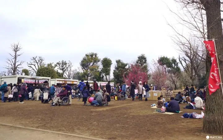 Setagaya Plum Blossom Festival - Marvel In The First Signs Of Spring