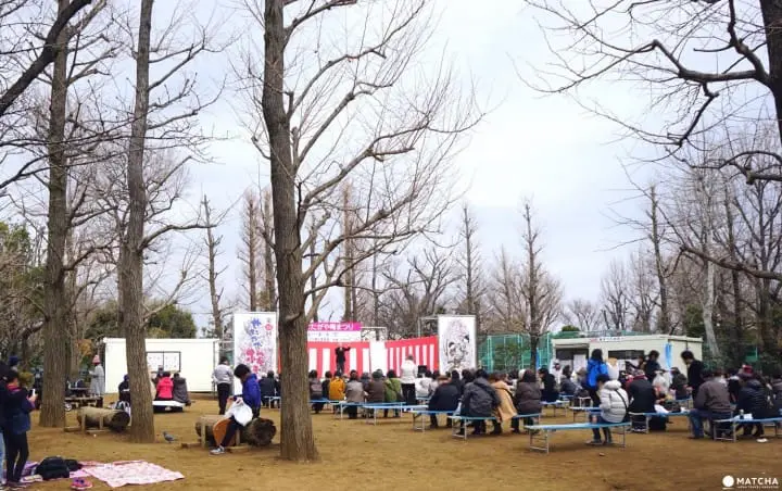 Setagaya Plum Blossom Festival - Marvel In The First Signs Of Spring