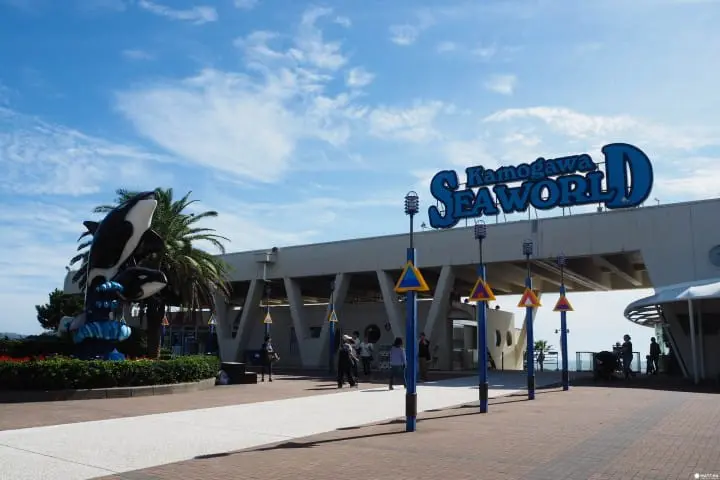 千葉鴨川海洋世界