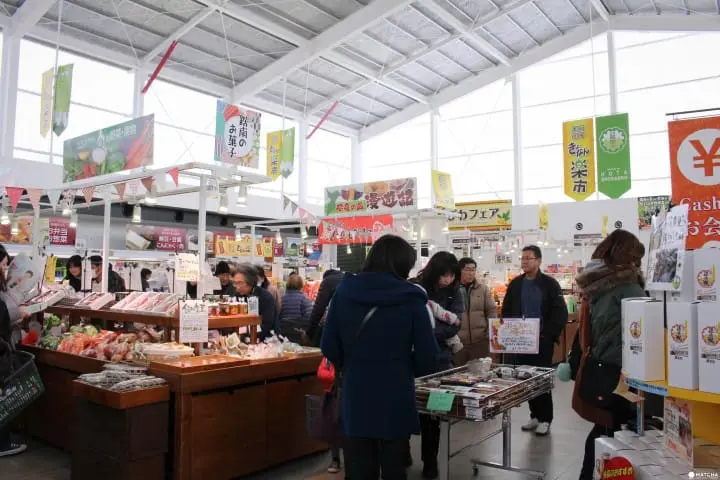 東京近郊 千葉保田小學