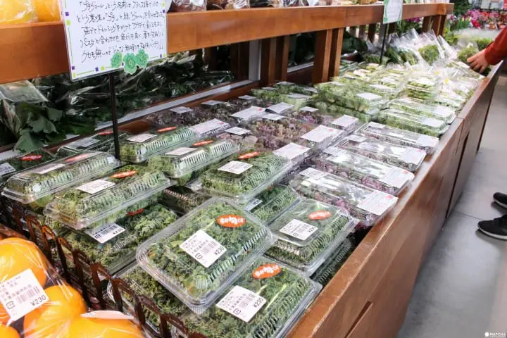 千葉保田小學 市場蔬果