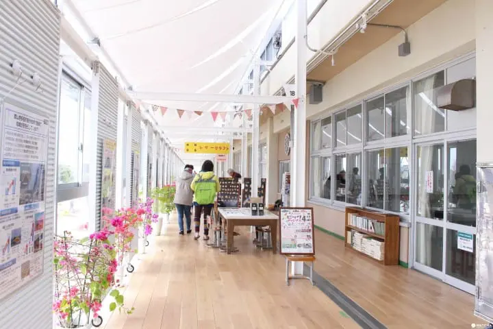 千葉保田小學 走廊