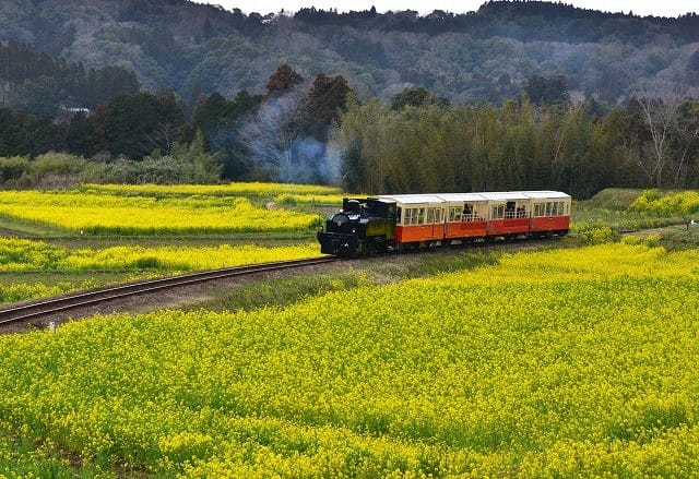 養老渓谷