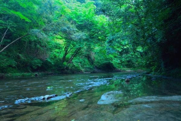 濃溝の滝