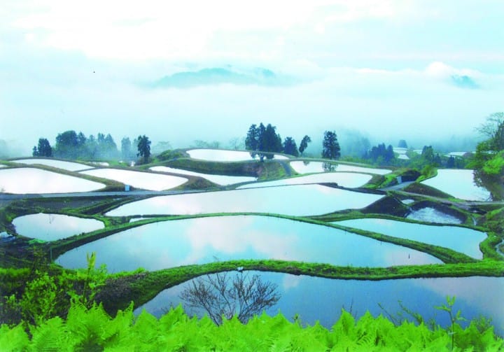 虫亀地域