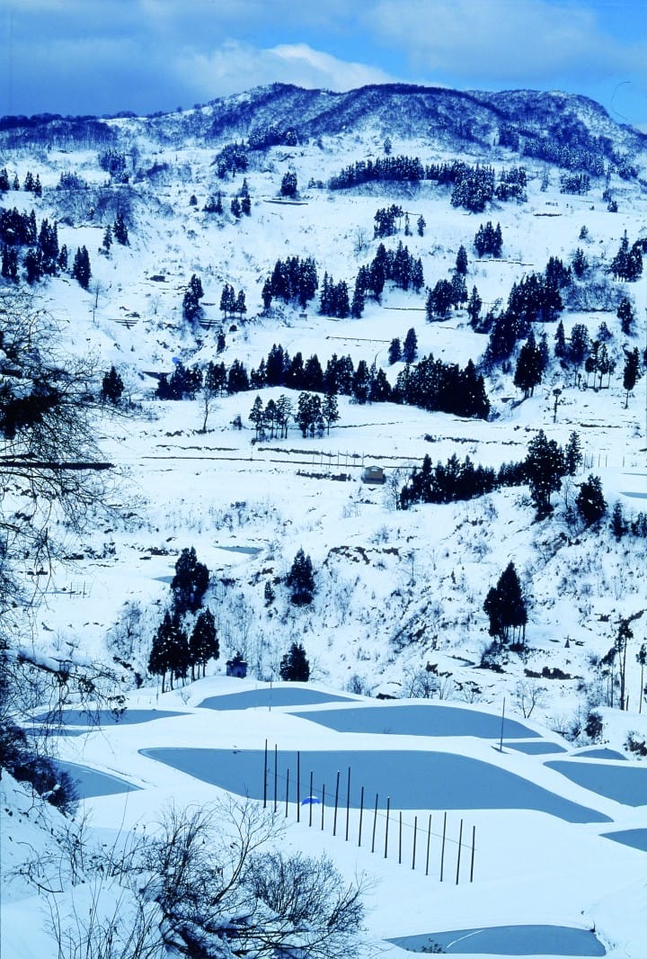 虫亀地域