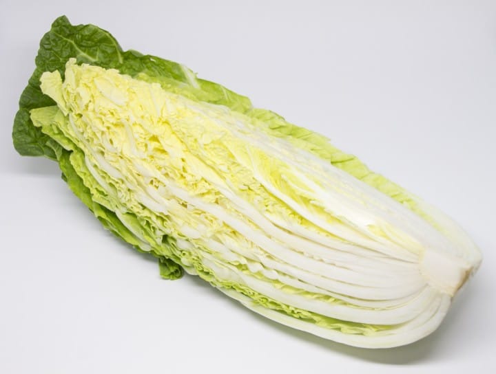 山东大白菜
