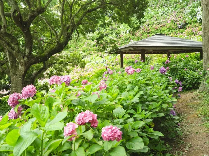 東京近郊千葉 服部農園涼亭