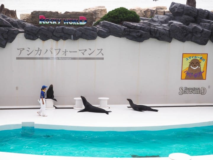 海獅表演 鴨川海洋世界