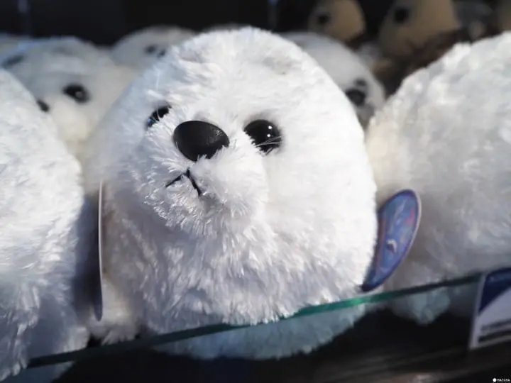 伴手禮鴨川海洋世界