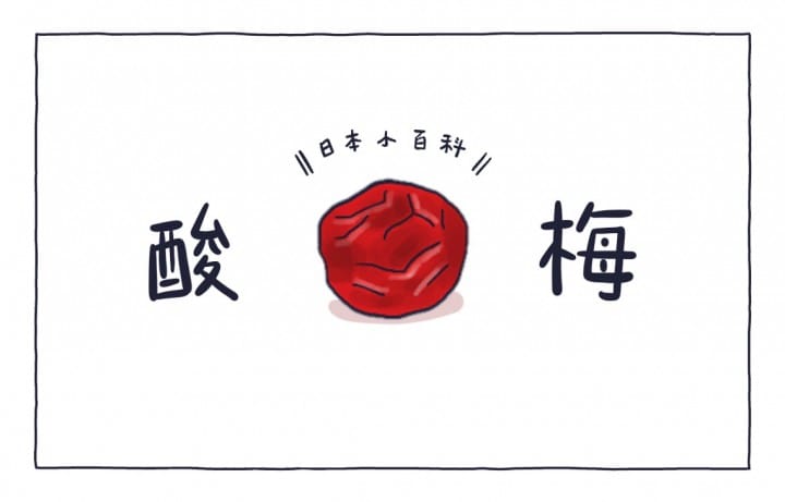 MATCHA畫日本 酸梅