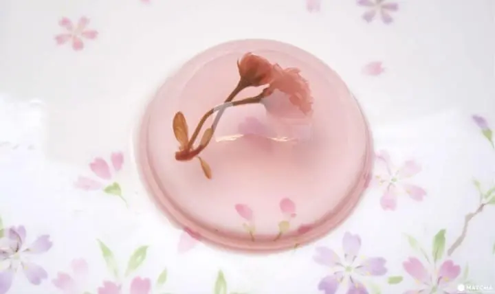 9 Cherry Blossom Flavored Items You Should Try This Spring!