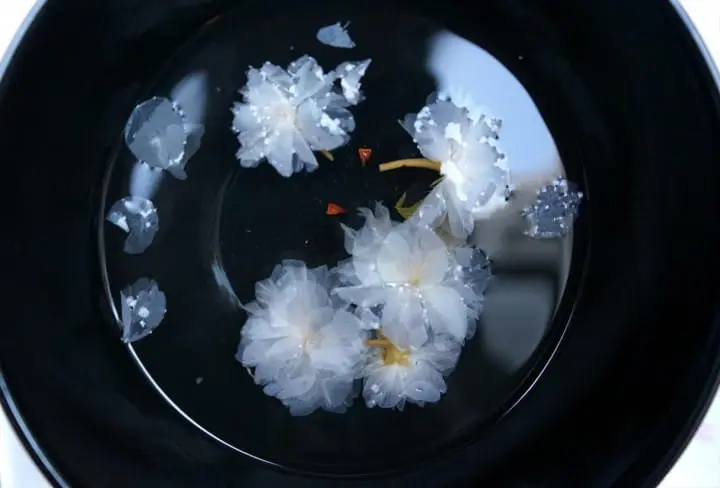 9 Cherry Blossom Flavored Items You Should Try This Spring!