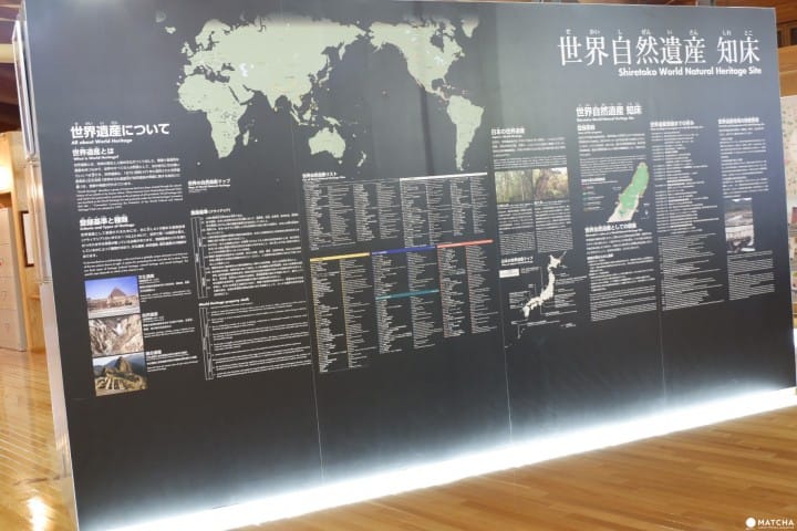 冬季知床2